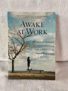 Awake at Work Practical Buddhist Principles Clarity Balance By Michael Carroll
